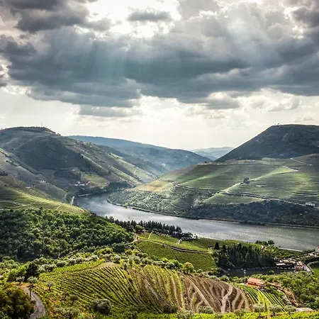 Romantic Luxury Douro Valley And Vineyard Villa