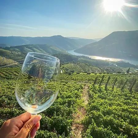 Villa Romantic Luxury Douro Valley And Vineyard Folgosa (Viseu)
